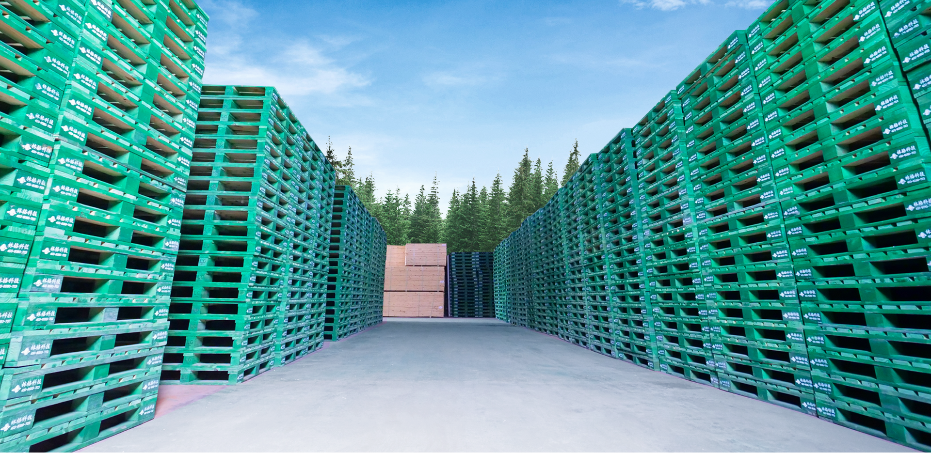 林格科技木托盘租赁：可定制化服务适配多元行业